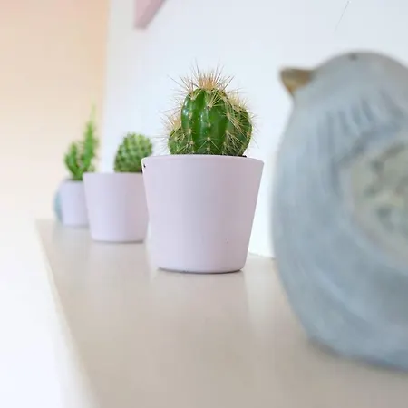3 Bedroom With P-garage By Silver Prop Apartament *